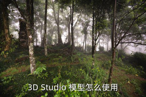 3D Studio 模型怎么使用