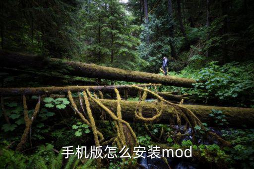 手机版怎么安装mod