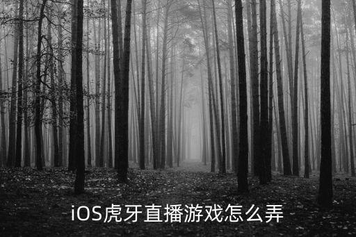 iOS虎牙直播游戏怎么弄