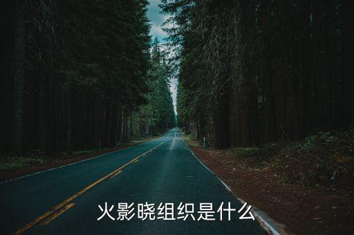 火影晓组织是什么