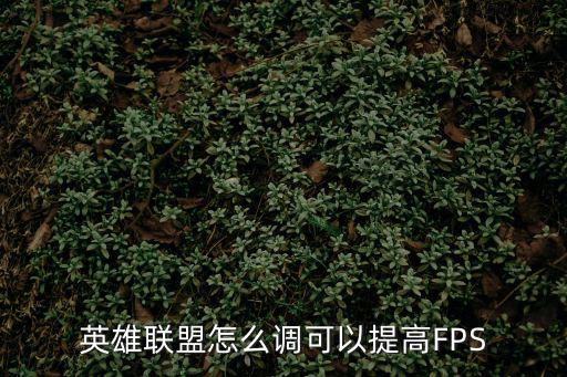 英雄联盟怎么调可以提高FPS