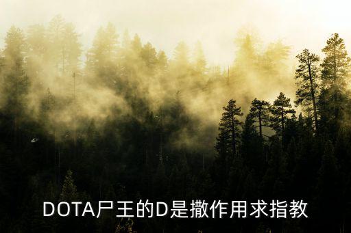 DOTA尸王的D是撒作用求指教