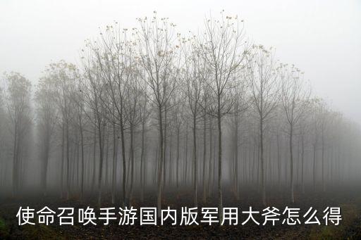 使命召唤国服手游怎么获得野战斧，第一人称射击累的游戏哪个最好玩