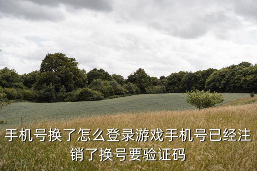 英雄联盟手游换个手机怎么登陆，我换手机了如何登回原来的号