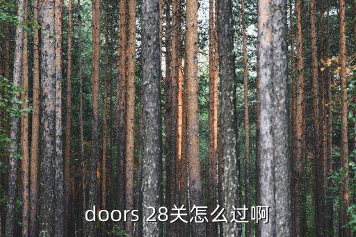 doors 28关怎么过啊