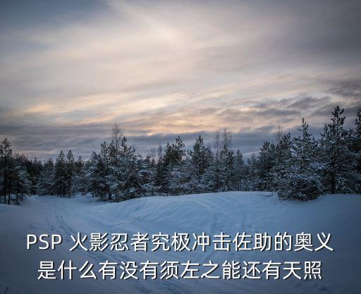 PSP 火影忍者究极冲击佐助的奥义是什么有没有须左之能还有天照