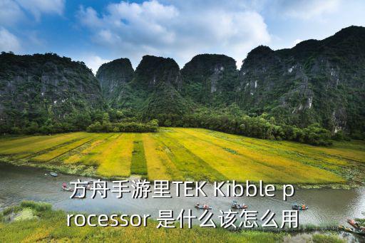 方舟手游里TEK Kibble processor 是什么该怎么用