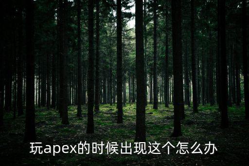 玩apex的时候出现这个怎么办