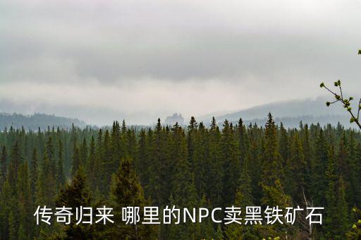 传奇归来 哪里的NPC卖黑铁矿石