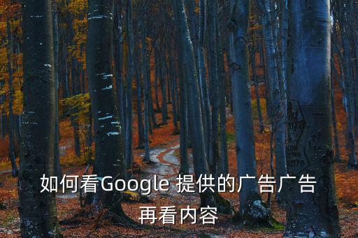 如何看Google 提供的广告广告再看内容