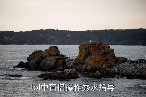 lol中盲僧操作秀求指导