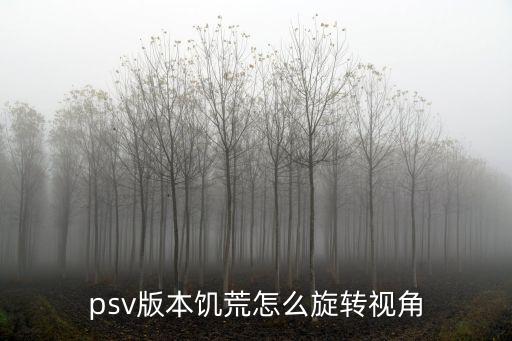 psv版本饥荒怎么旋转视角