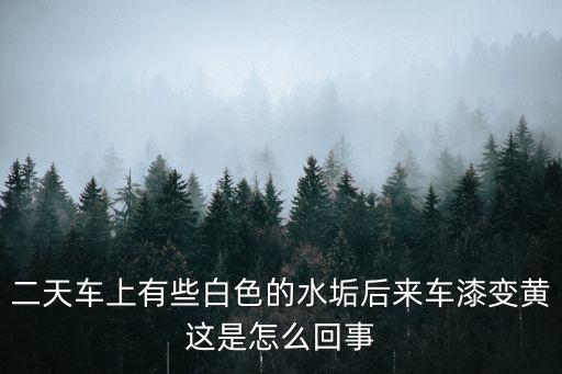 二天车上有些白色的水垢后来车漆变黄这是怎么回事