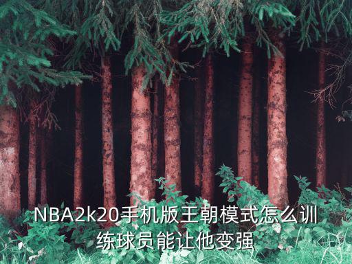 nba手游2k20怎么联机，NBA2k20手机版王朝模式怎么训练球员能让他变强