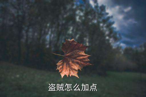 盗贼怎么加点