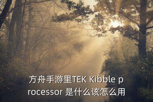 方舟手游里TEK Kibble processor 是什么该怎么用