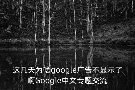 这几天为啥google广告不显示了啊Google中文专题交流