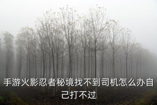 手游火影忍者秘境找不到司机怎么办自己打不过