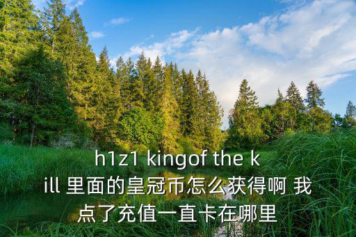 h1z1 kingof the kill 里面的皇冠币怎么获得啊 我点了充值一直卡在哪里