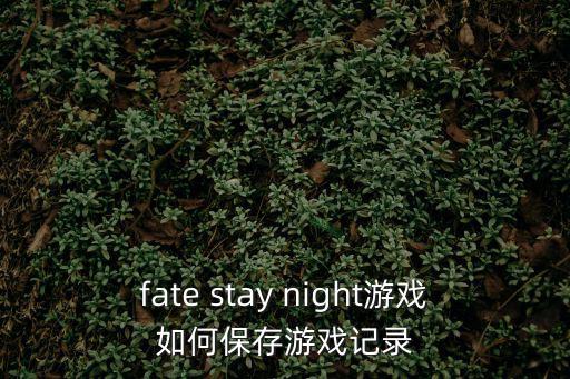 fate手游怎么保存进度，请问fate stay night 中文最终版圣杯战争怎么存档读取