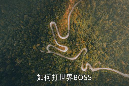 斗斗堂手游世界boss怎么打，百战斗斗堂怎么打世界boss