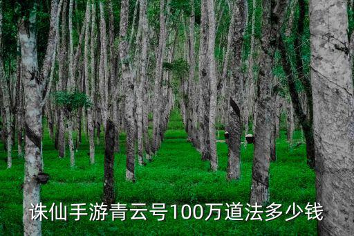 诛仙手游青云号100万道法多少钱