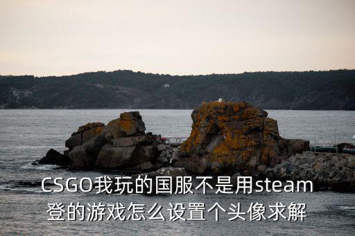 CSGO我玩的国服不是用steam登的游戏怎么设置个头像求解