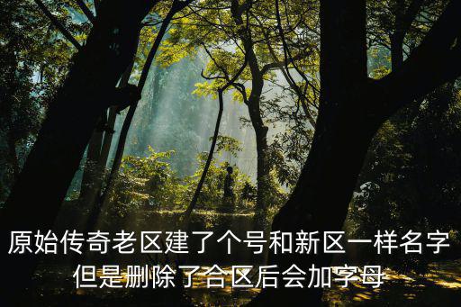 原始传奇老区建了个号和新区一样名字但是删除了合区后会加字母