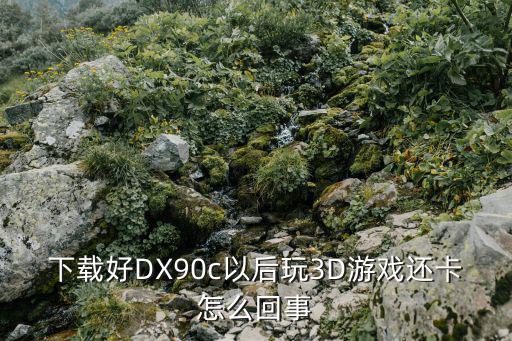 下载好DX90c以后玩3D游戏还卡怎么回事