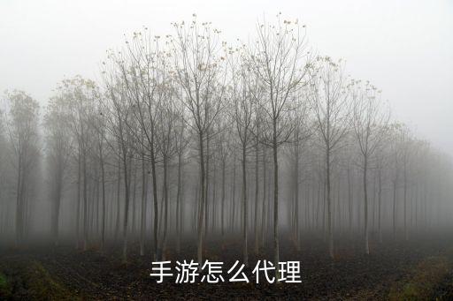 手游怎么代理