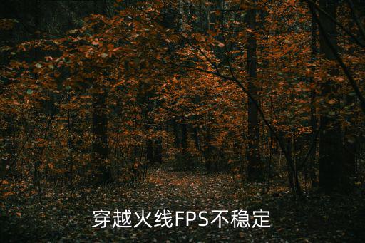 穿越火线FPS不稳定