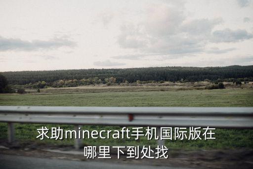 求助minecraft手机国际版在哪里下到处找