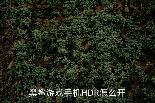 黑鲨游戏手机HDR怎么开