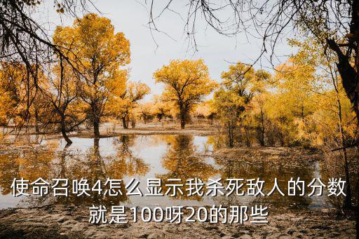 使命召唤4怎么显示我杀死敌人的分数就是100呀20的那些