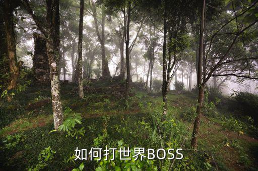 如何打世界BOSS