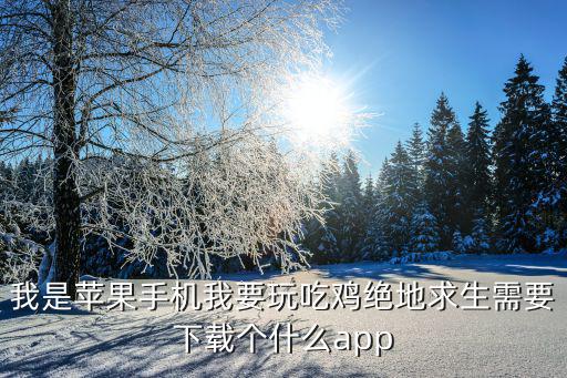 我是苹果手机我要玩吃鸡绝地求生需要下载个什么app