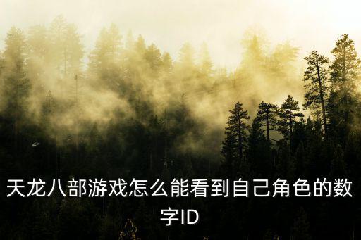 天龙八部游戏怎么能看到自己角色的数字ID