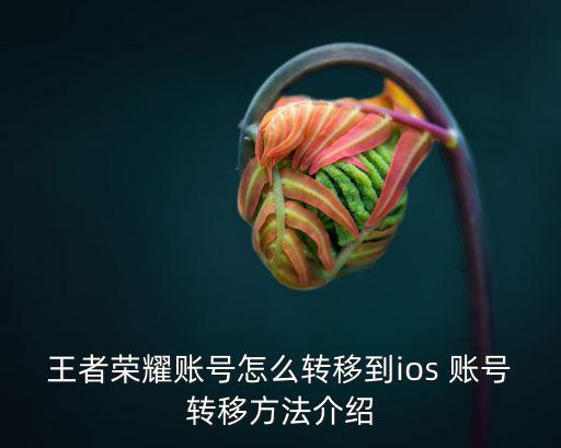 王者荣耀账号怎么转移到ios 账号转移方法介绍