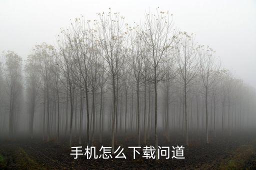 手机怎么下载问道