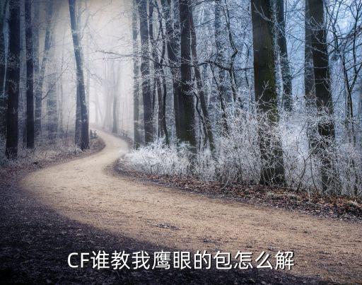 CF谁教我鹰眼的包怎么解