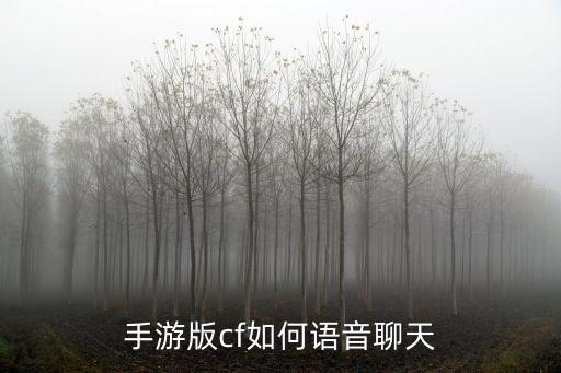 手游版cf如何语音聊天