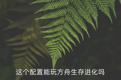 这个配置能玩方舟生存进化吗