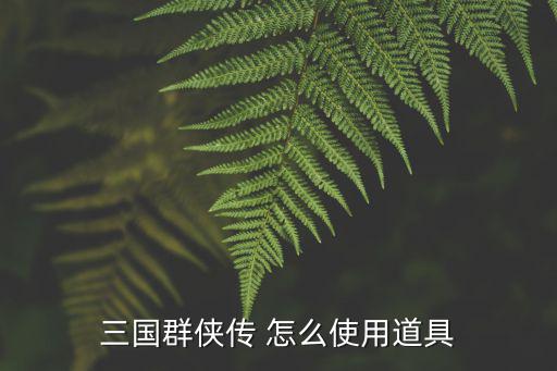 三国群侠传 怎么使用道具