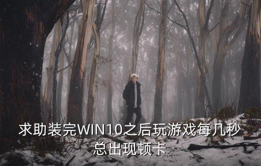 求助装完WIN10之后玩游戏每几秒总出现顿卡