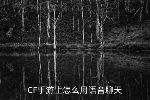 CF手游上怎么用语音聊天