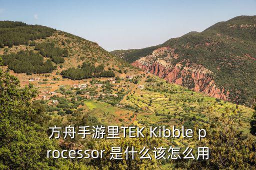 方舟手游雷龙宝宝要抱抱怎么办，方舟手游里TEK Kibble processor 是什么该怎么用