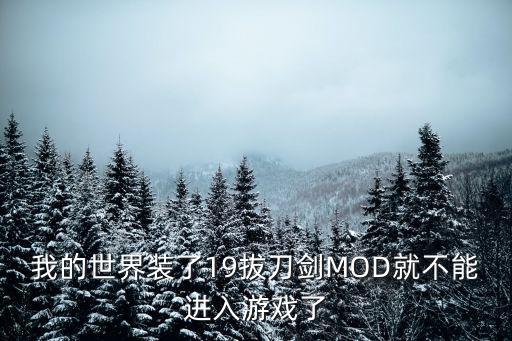 我的世界装了19拔刀剑MOD就不能进入游戏了