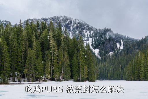 吃鸡PUBG 被禁封怎么解决