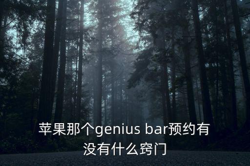 苹果那个genius bar预约有没有什么窍门