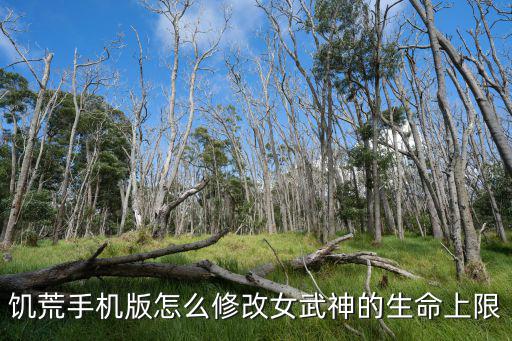 饥荒手机版怎么修改女武神的生命上限